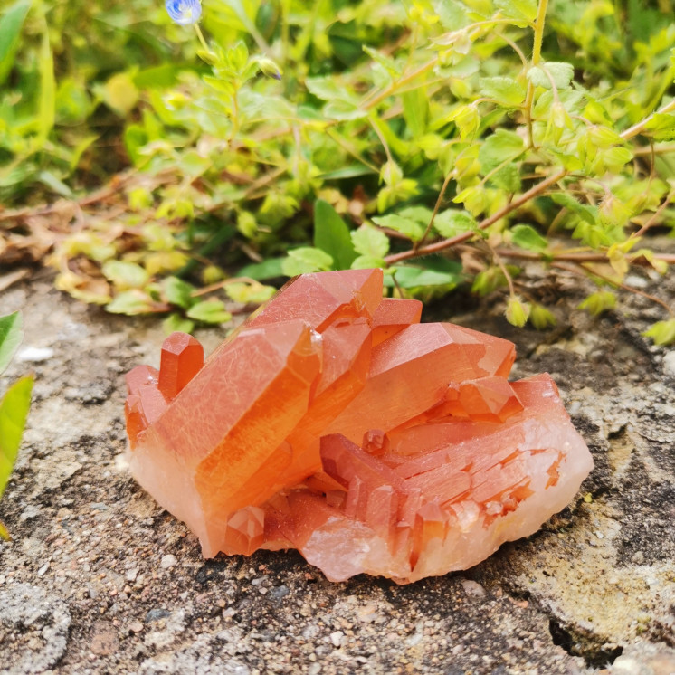 Druse de Quartz Tangerine