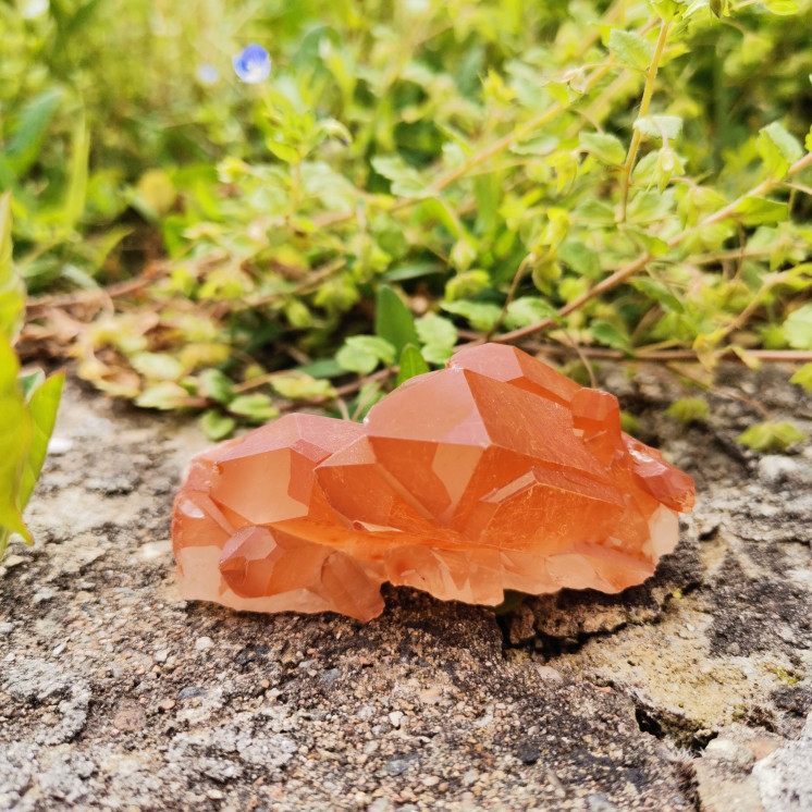 Druse de Quartz Tangerine