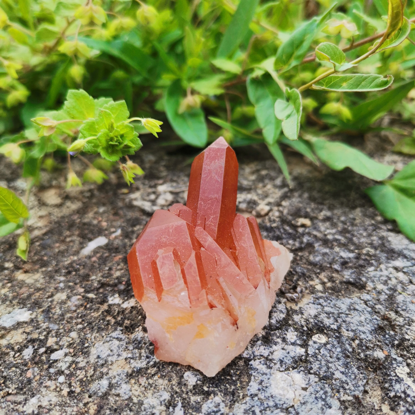 Druse de Quartz Tangerine