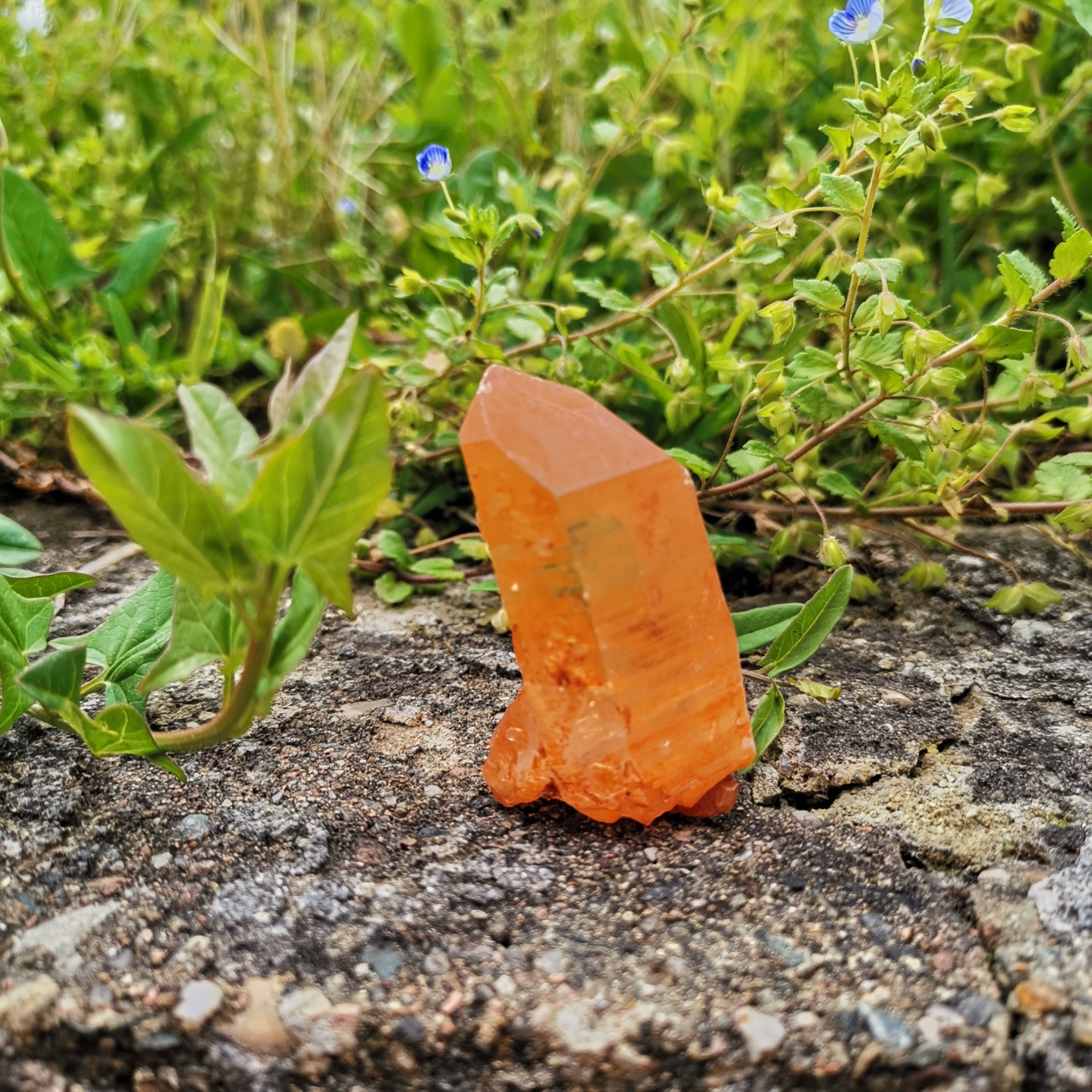 Pointe de Quartz Tangérine